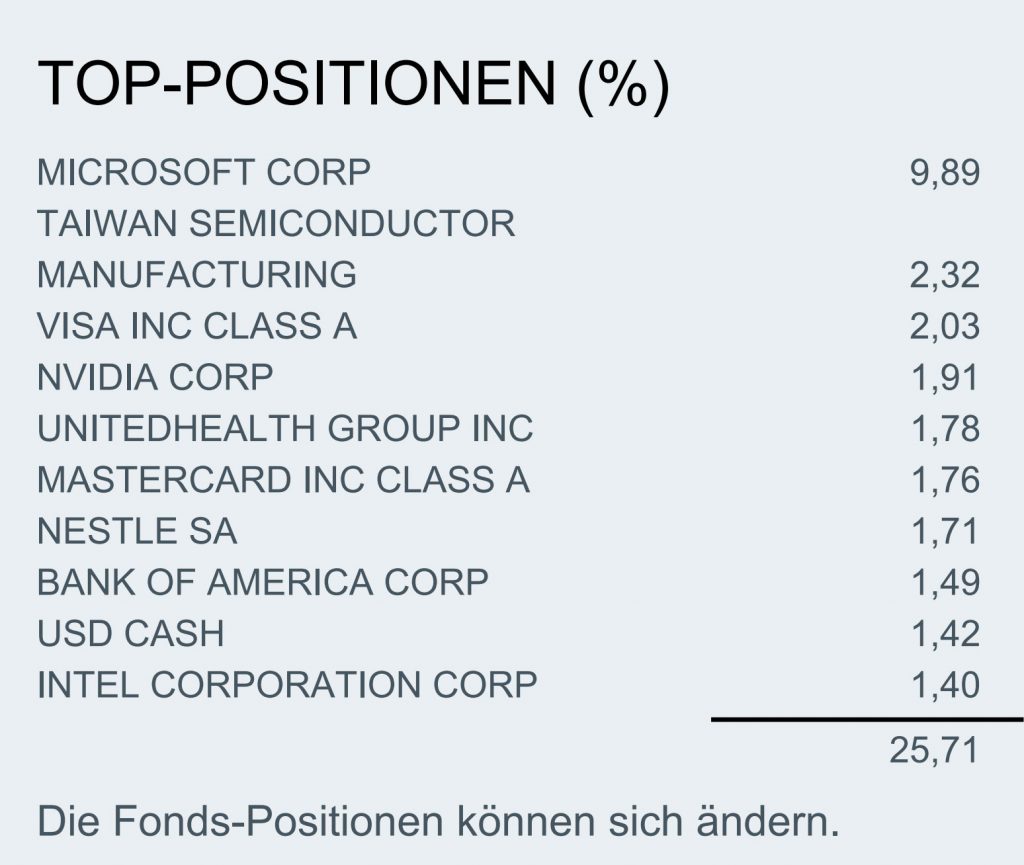 Nachhaltige Geldanlage mit ETFs | Top Positionen im Dow Jones Sustainability World Index